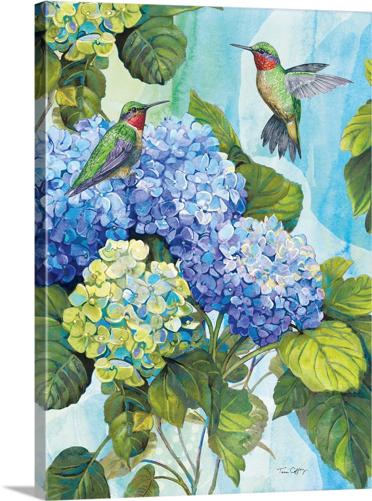 A lovely illustration featuring the popular hydrangea with the beloved hummingbird.