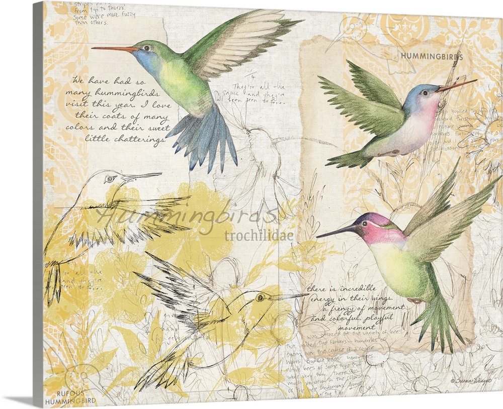 Botanical study of hummingbirds adds elegant, nature-inspired touch to any room.