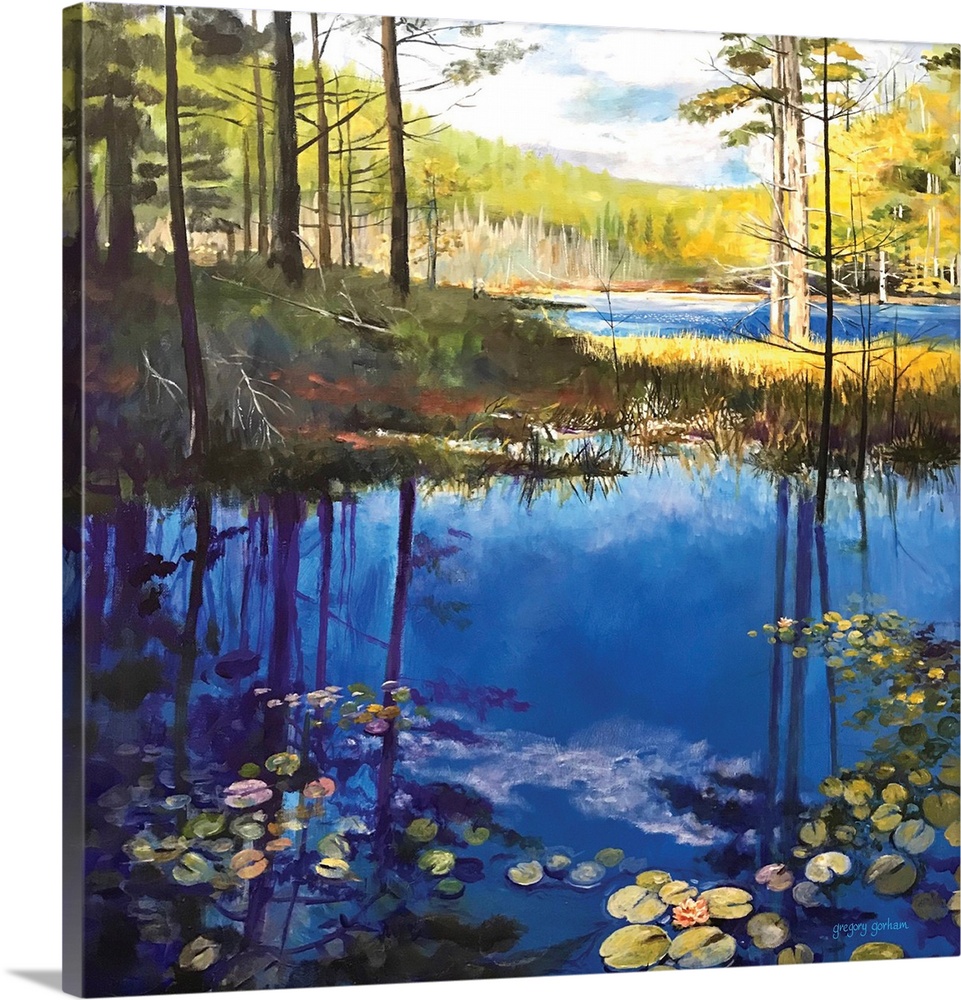 Reflections mirror off the pond in this woodsy scene.