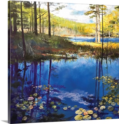 Landscape Reflections 1