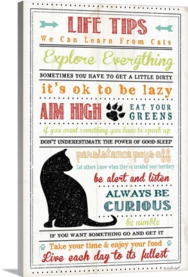 Life Tips - Cats