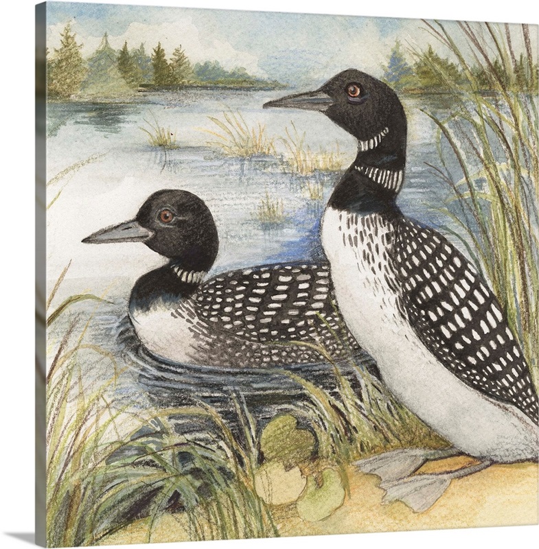 Loons Wall Art, Canvas Prints, Framed Prints, Wall Peels Great Big Canvas