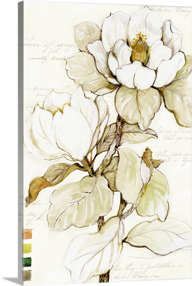 The elegant magnolia gets star treatment here. Stunning form and a soft neutral palette.
