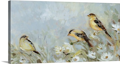 Meadow Of Goldfinches