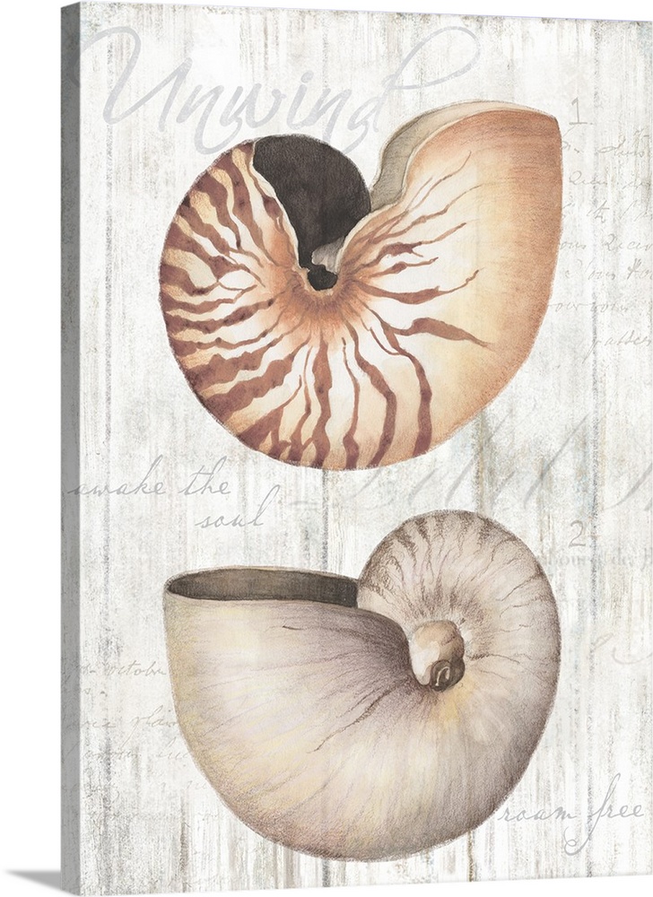 Beautiful imagery from the sea for a classic coastal decor with a faux wood treatment.