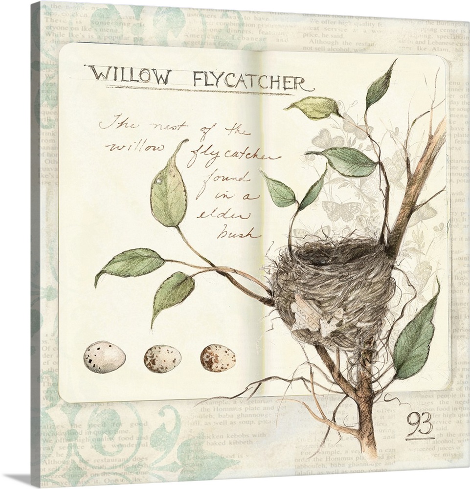 Botanical study of birdlife adds elegant, nature-inspired touch to any room.