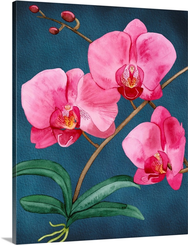Orchid Garden III | Great Big Canvas