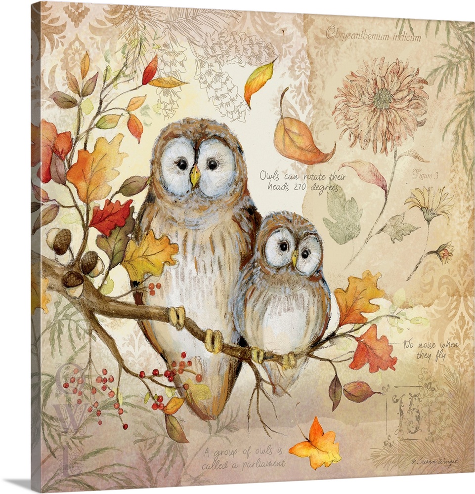 A nature botanical featuring a woodsy owl family!