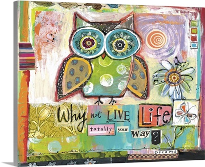Owl - Live Life