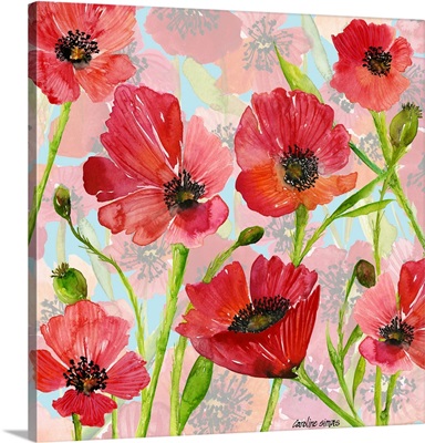 Painted Poppies