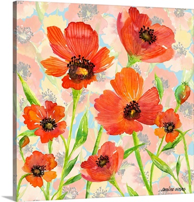 Painted Poppies