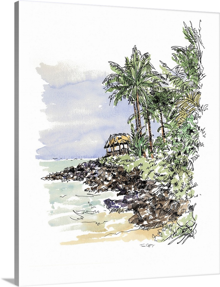 A lovely pen and ink depiction of tropical palm tree coast.