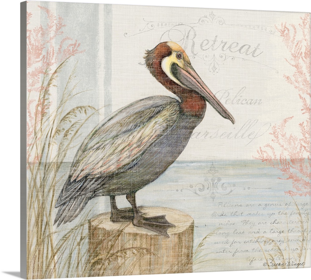 This pelican in a lovely watercolor scene brings the coast into your home.