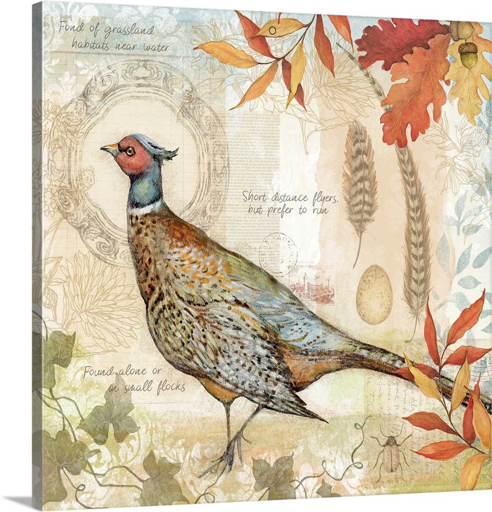 Pheasants capture the harvest mood in this lovely botanical.