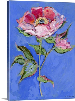 Pink Camelia On Blue