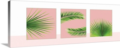 Pink Palm Panel