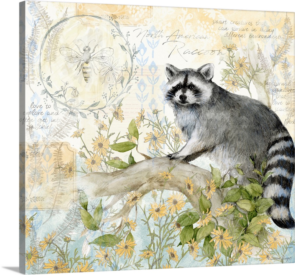 A field guide rendering of this raccoon scene is perfect for den or office