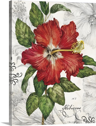 Red Hibiscus on White | Great Big Canvas