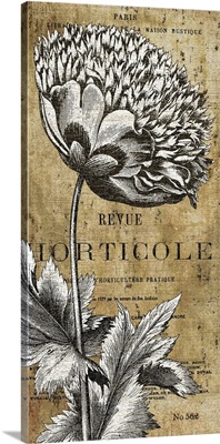 Revue Horticole Motif II Vertical