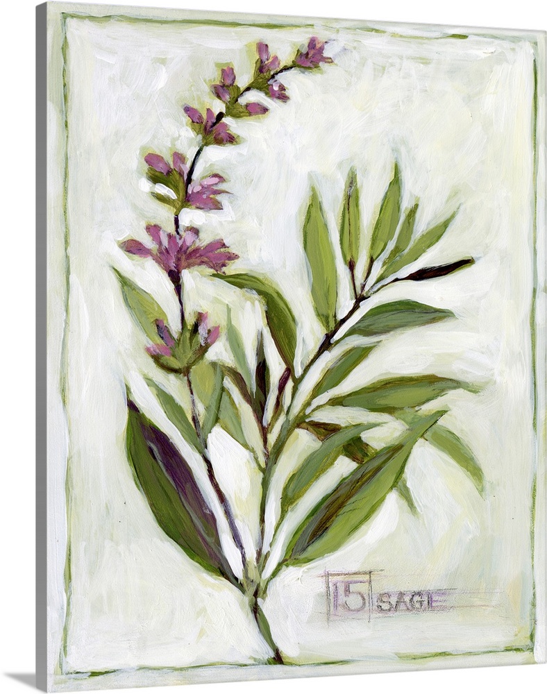 This sage sprig adds an elegant touch of the garden to any kitchen or dining area.