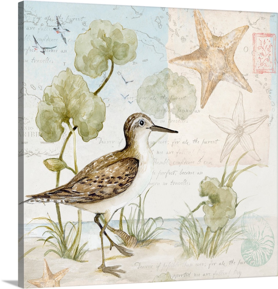 Softly hued scene featuring the delicate sandpiper is a subtle and tasteful coastal statement.