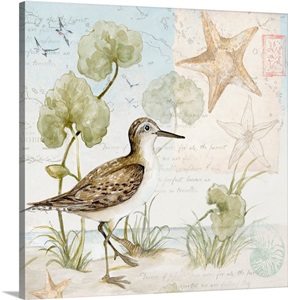 Sandpiper Wall Art, Canvas Prints, Framed Prints, Wall Peels | Great ...