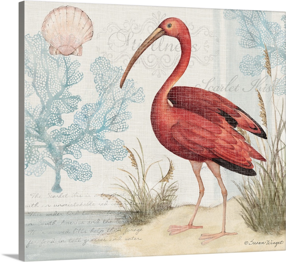 This scarlet ibis in a lovely watercolor scene brings the coast into your home.