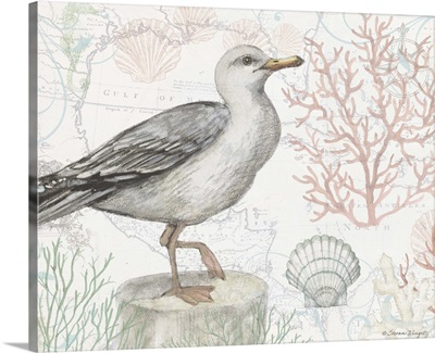 Seagull