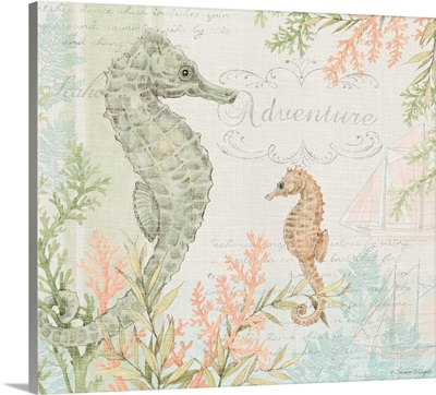 Seahorses and Coral