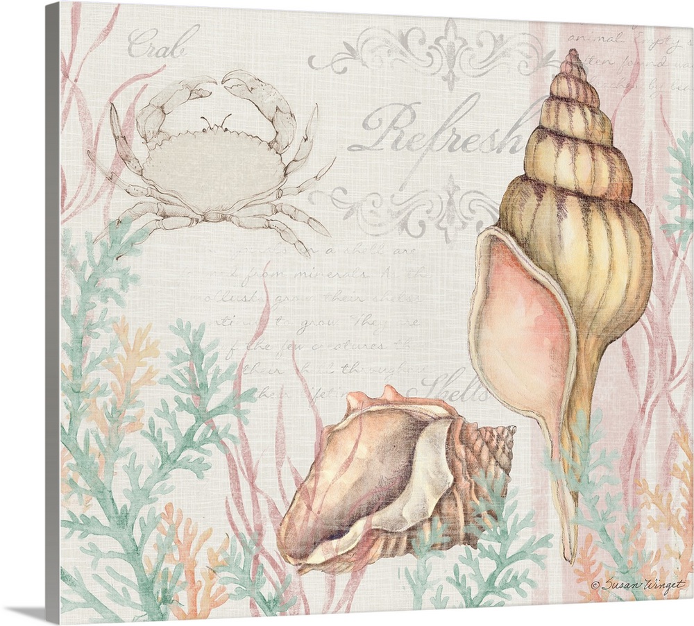 This shell scene brings the coast into your home.