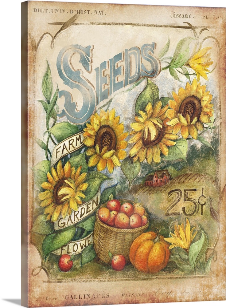 Vintage seed packets send us back in time to harvests of past times.