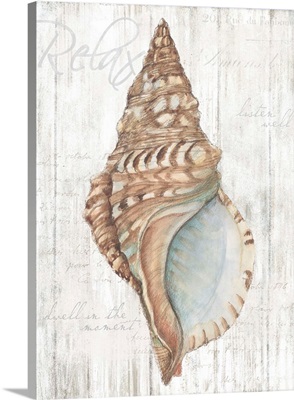Shell on Wood