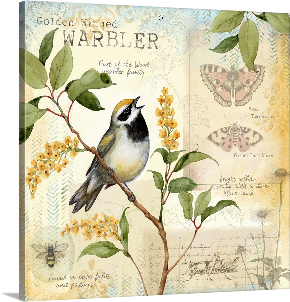 Botanical bird scene brinks the beauty of nature into your home decor.