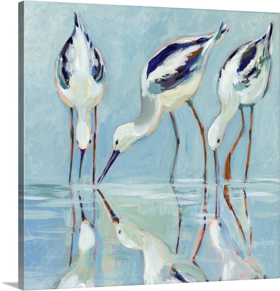 A stately and elegant of stilt birds linger at water's edge.