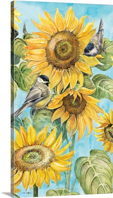Sunflower Honey 5