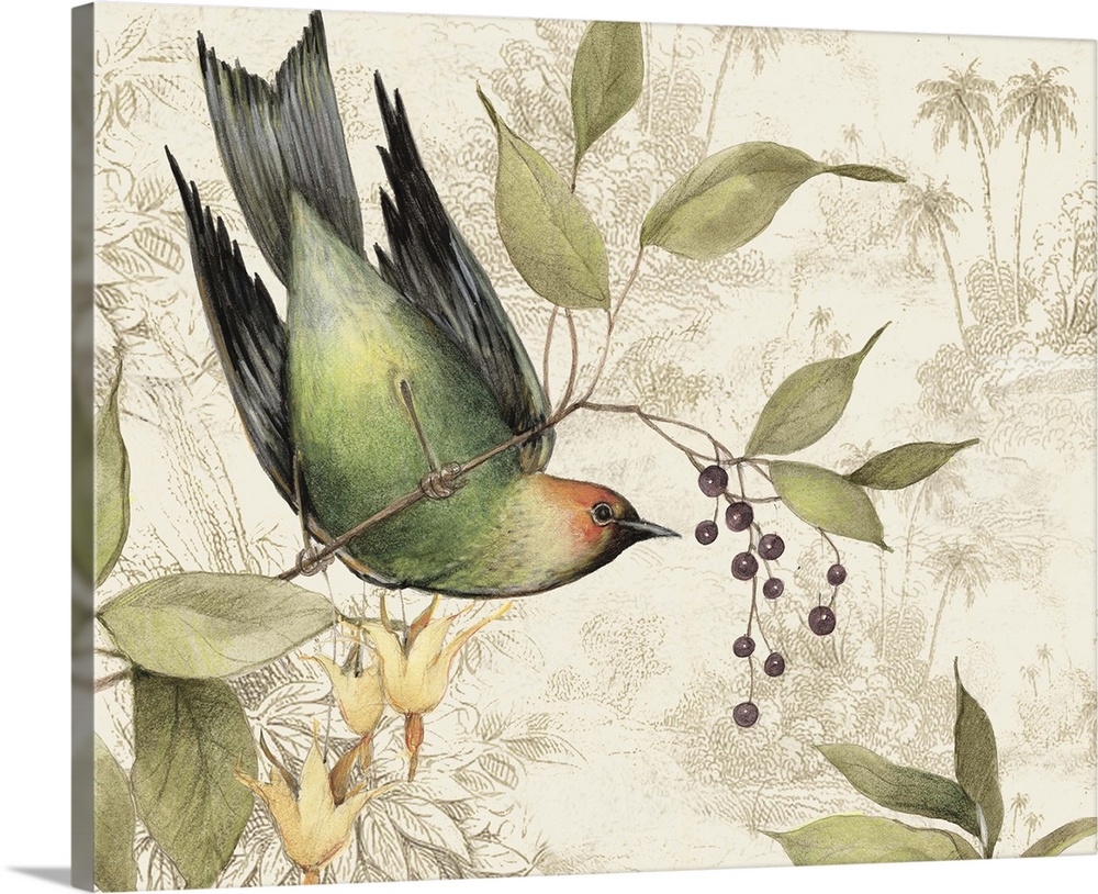 Elegant, botanical bird art adds a traditional elegance to any home.