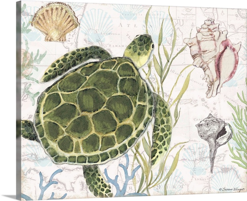 Turtle Great Big Canvas