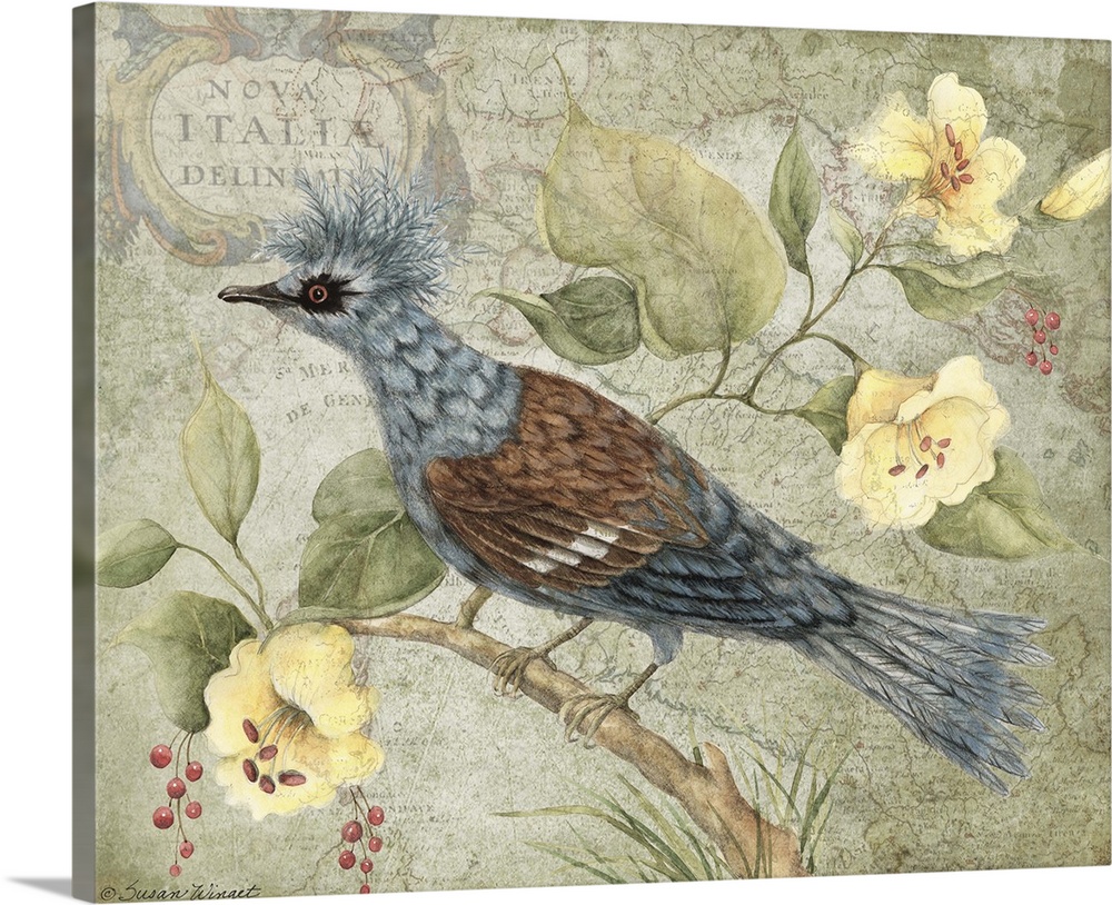 Victoria Crowned Pigeon Wall Art, Canvas Prints, Framed Prints, Wall