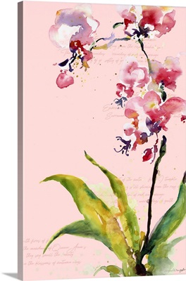 Watercolor Orchid