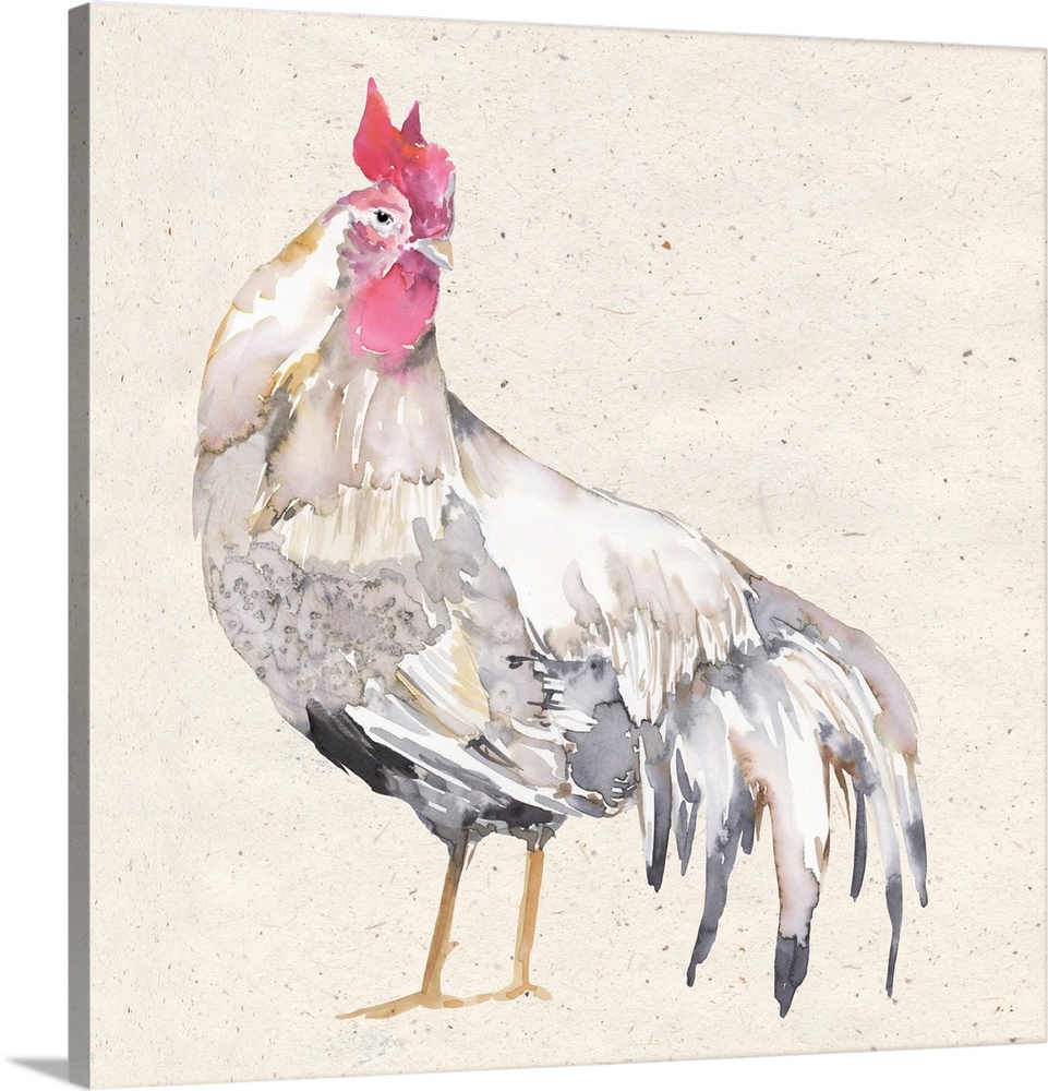 The ever-popular rooster is rendered in a soft watercolor treatment with a neutral palette.