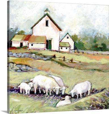 White Barn With Sheep