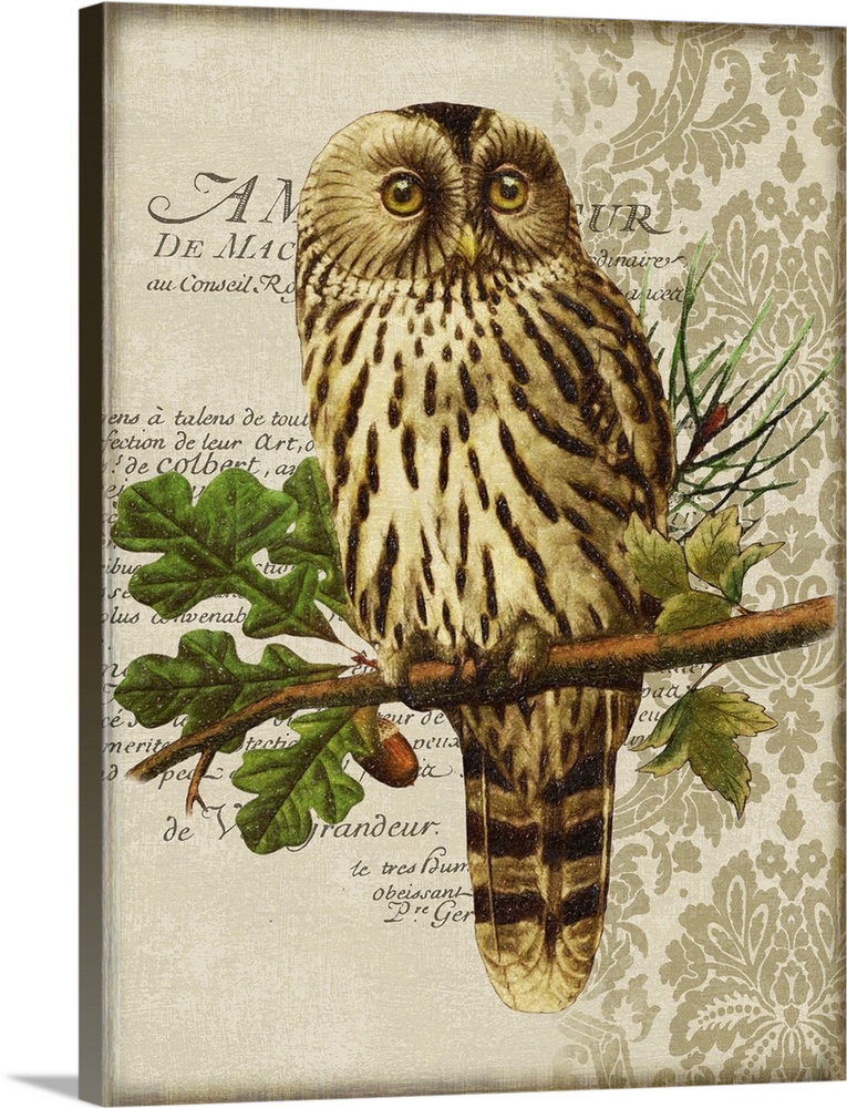 Woodland Owl Motif II