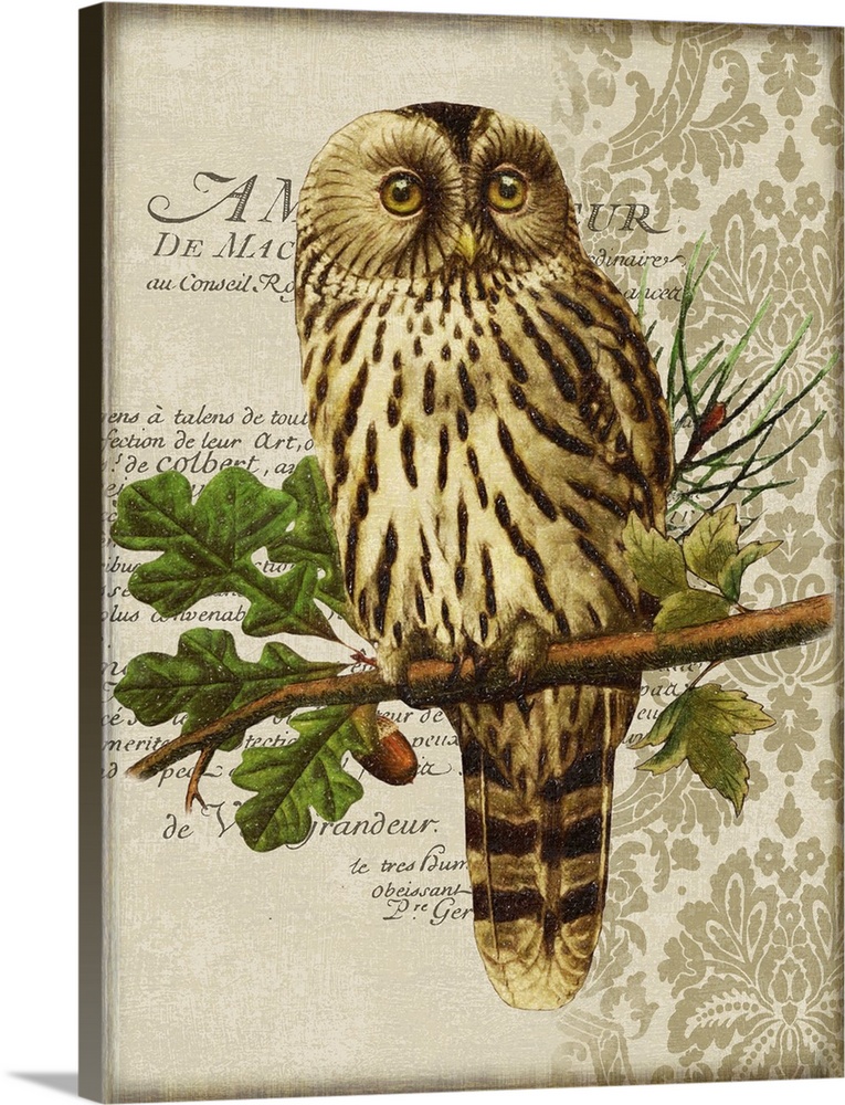 Woodland Owl Motif II | Great Big Canvas