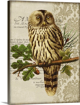 Woodland Owl Motif II