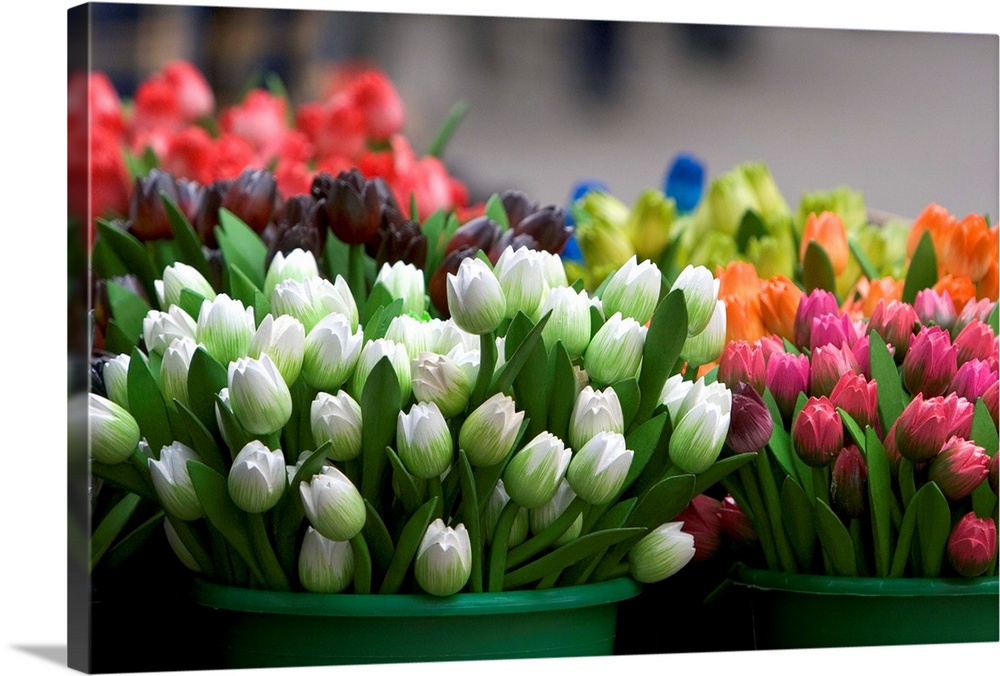 A display of tulips carved out of wood at a market in Amsterdam, Netherlands.