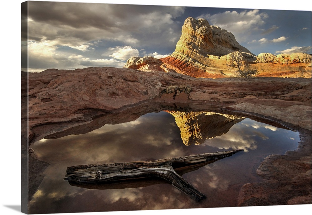 A log in a pool reflect white pockets area in northern Arizona.