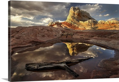 A Log In A Pool Reflect White Pockets Area In Northern Arizona