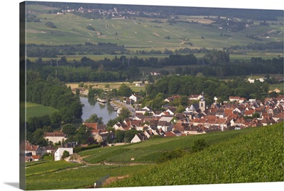 A view of the Vallee de la Marne river and vineyards, Marne, Ardennes, France