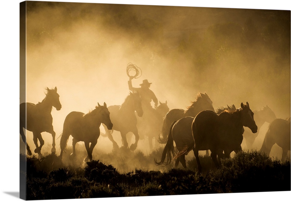 A wrangler herding horses through backlit dustcloud in golden light of sunrise