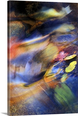 Abstract of fall leaves rushing downstream